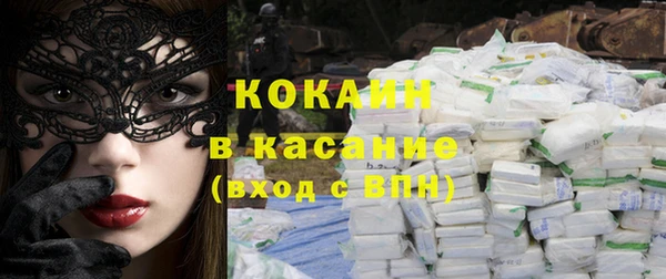 индика Сосновка