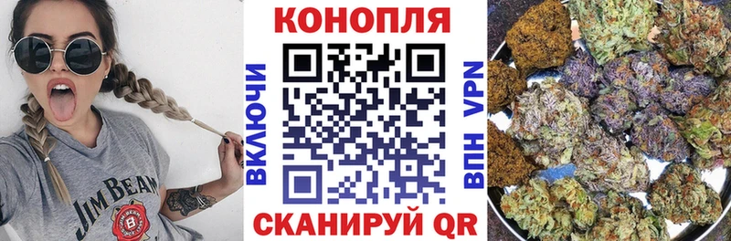 хочу наркоту  Воскресенск  МАРИХУАНА ГИДРОПОН 